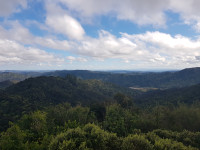 Upper Mangatawhiri Reservoir